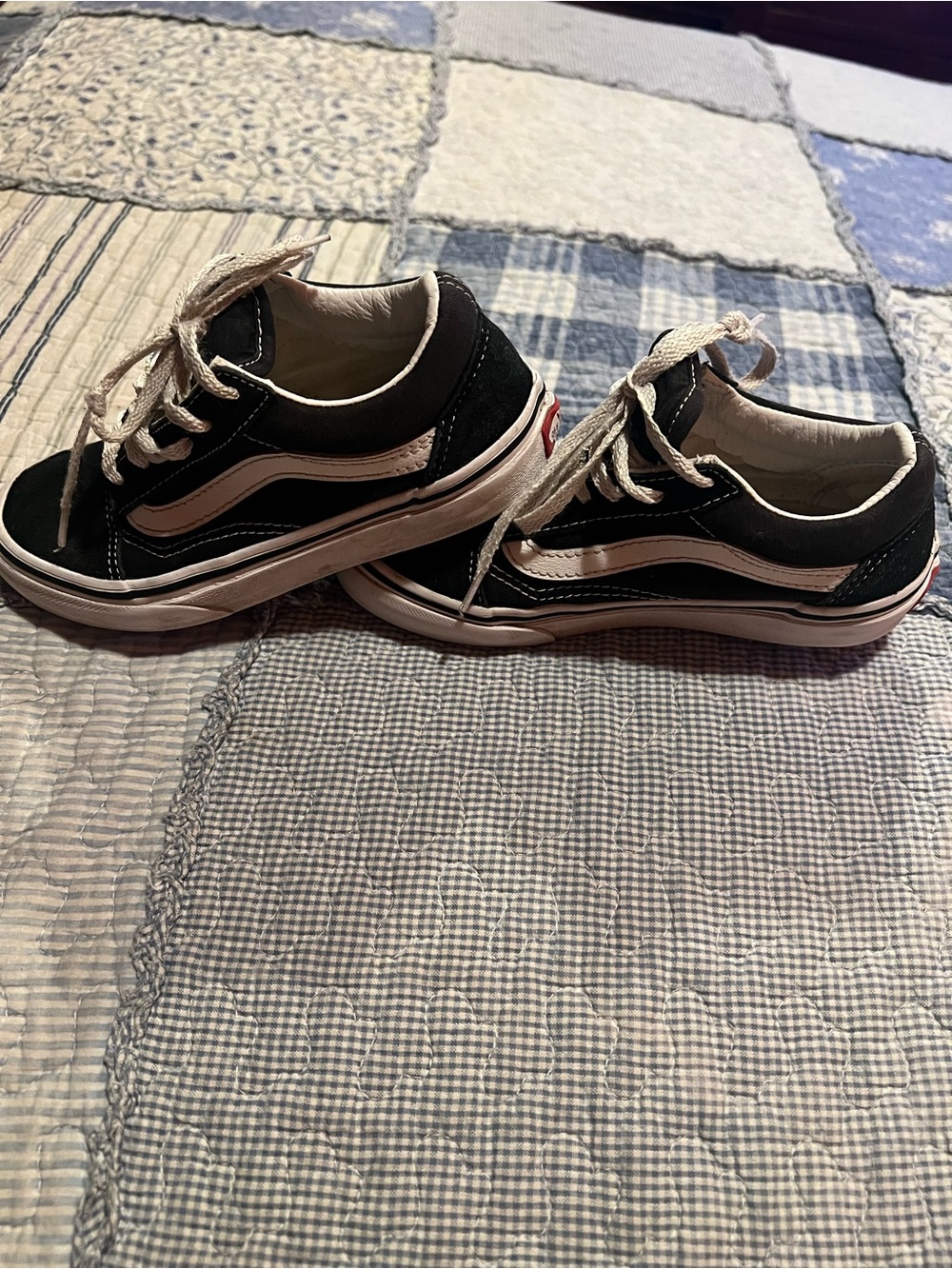 Vans Black and White Low-Top Skate Sneakers